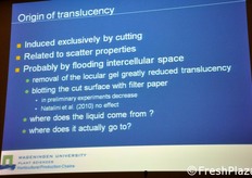 Sulle cause del fenomeno del traslucido nei prodotti fresh-cut la ricerca sta ancora lavorando.