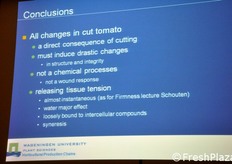 Le conclusioni preliminari dello studio sul fenomeno del traslucido.