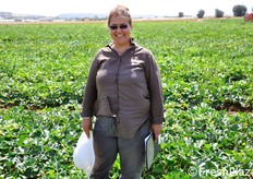 Nella foto, la breeder turca Emine Barzal, da 17 anni in Enza Zaden e da 12 specializzata nel melone. Il programma di miglioramento varietale di Enza Zaden si sviluppa su cultivar di tipo spagnolo (Amarillo) e di tipo francese e retato. Ad Emine si deve l'introduzione delle cultivar Eminenza F1, Magnificenza F1 e Majus F1.