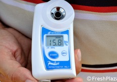 Il conteggio del grado brix (tenore zuccherino) del melone tagliato in campo.