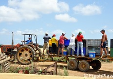 Il personale addetto alla raccolta si sistema sul pianale del rimorchio.