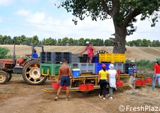 Una volta fermo, il pianale si ripiega facendo scendere un sostegno per le ceste.