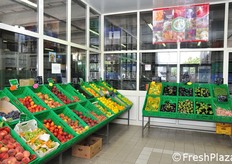 Ci spostiamo successivamente presso il magazzino della Centrale Ortofrutticola di Tarquinia, dove confluiscono le produzioni di 200 aziende socie medio-piccole del comprensorio. Il magazzino e' dotato anche di un punto vendita aperto al pubblico.