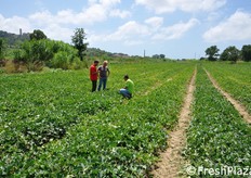 In visita presso il campo di Claudio Torresi.