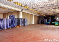 Ci siamo recati infine presso lo stabilimento dell'azienda Borzacchi (aderente, insieme ad altre 33 aziende agricole, alla OP Horta). Il magazzino si estende su 1.350 mq coperti.