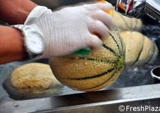 Fase di lavaggio e spazzolatura.