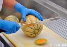 "Come spiegano Daniela De Angelis e Maria Letizia Fattori, responsabili della lavorazione del melone di quarta gamma: "Da giugno a settembre dello scorso anno siamo riuscite a produrre 33.000 vaschette lavorando soltanto due mesi. Quest'anno speriamo di farne molto di piu'!"."