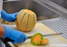 Al momento della visita di FreshPlaza, erano state prodotte in un mese 12.000 vaschette.