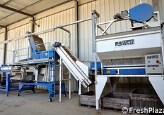 Oltre allo stoccaggio, presso questo deposito si effettuano anche le operazioni di privazione del gambo delle cipolle e suddivisione per calibro dei bulbi.