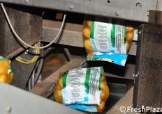 Insacchettamento del prodotto.