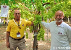 Un saluto ai lettori di FreshPlaza da parte del Sig. Caputo dell'omonima azienda agricola Caputo Nicola & Figli (partner di A.V.I. per la produzione sperimentale di uve ARRA in campo) e di Rino Storelli (Presidente A.V.I.).