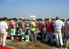 Il 31 agosto scorso Monsanto Vegetable Seeds – MVS ha organizzato presso l'azienda Riverfrut di Suzzano (PC) un International Open Day interamente dedicato al pomodoro da industria.