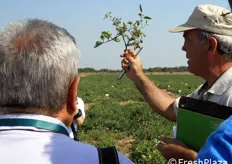 In questa e nelle foto seguenti, Nino Tummolo, Crop Specialist Pomodoro da industria, in alcuni momenti della presentazione varietale.