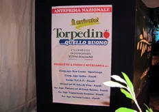 La lista dei produttori di Torpedino.