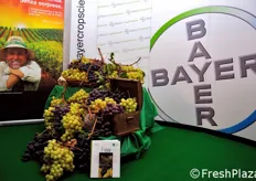 Allestimento presso lo stand della Bayer CropScience.