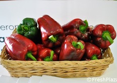 Il peperone Balzac della Nunhems.