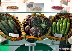 Alcuni prodotti Olter.