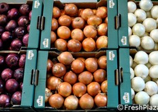 Recentemente dotatasi di nuove apparecchiature di calibrazione, l'azienda F.lli Torti ha esposto al Macfrut queste nuove cassette di cipolle. Proprio un bel vedere!