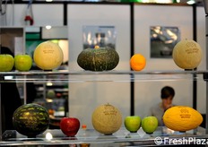 "Alcuni esempi di frutta "tatuata"."