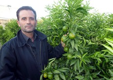 Il Sig. Sergio (in foto), di professione potatore, e' molto soddisfatto della scelta della varieta', particolarmente adatta per l'entroterra calabrese dove sono piu' accentuate le escursioni termiche.
