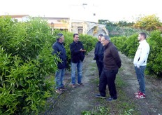 Il Sig. Sergio, molto entusiasta per i risultati raggiunti, ha affermato di credere molto nell'agrumicoltura e di voler realizzare in futuro nuovi impianti. Egli ritiene che la soluzione all'attuale crisi del mercato risiede solo nel binomio produzioni di qualita', nel periodo precoce o tardivo, e professionalita' del produttore.