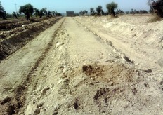 "L'azienda agricola "Quero Patrizia" non ha rinunciato ai portinnesti "Citrange", ha scelto di adottare la tecnica di coltivazione su "baula" (in foto durante la preparazione) che consente di ottimizzare gli interventi di correzione del suolo."
