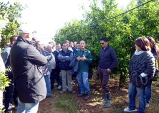 "Il Sig. Franco Passeri afferma di essere soddisfatto dei risultati produttivi del clementine "Spinoso VCR", introdotto nella sua azienda circa 10 anni fa, attraverso il reinnesto di vecchie piante di arancio preesistenti. Il clementine "Spinoso VCR" si adatta bene alle condizioni pedo-climatiche dell'area agrumicola del tarantino."