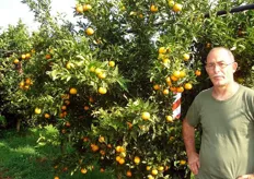 "Presso l'azienda agrumicola del Sig. Franco Passeri (in foto), nel 2010 i frutti di clementine "Spinoso V.C.R." erano gia' pronti alla raccolta per meta' ottobre."