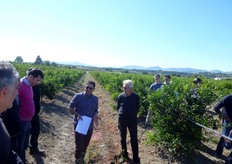 Le doppie combinazioni sono state impostate tra Citranges (Troyer e Carrizo) e l'arancio amaro, tra Citranges (Troyer e Carrizo) e C. Macrophylla (Alemow), tra Poncirus e arancio amaro e tra Flying Dragon e arancio amaro. Come testimoni sono state utilizzate piante innestate sui singoli portinnesti.