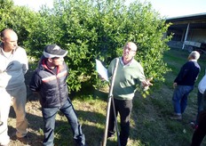 "Molto importante, sottolinea il Dott. Recupero, e' la scelta dell'area di coltivazione del "Lemox". Il ricercatore sconsiglia di realizzare impianti di "Lemox", e di limone in genere, in zone molto ventilate e dove l'agente patogeno del "Mal secco" (Phoma tracheiphila) e' presente in forma endemica."