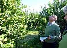 "Per ridurre le infezioni da "Mal secco", suggerisce Recupero, occorre adottare alcuni accorgimenti di natura agronomica come evitare l'irrigazione soprachioma, che faciliterebbe la diffusione del patogeno, e proteggere le piante da vento, freddo e grandine. Inoltre, e' necessario ricorrere ad una potatura frequente, ma contenuta (per non stimolare l'emissione di germogli vigorosi che ritarderebbero l'entrata in produzione), bruciare le parti infette e limitare le concimazioni azotate."