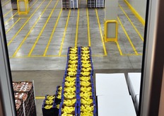 Il magazzino si estende oggi su una superficie di 22.000 mq (di cui 9.000 coperti - precedentemente il magazzino aveva un'estensione di 16.000 mq).