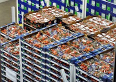 La capacita' di stoccaggio e' passata da 1.200 pallet a 2.000 pallet. Il totale della merce movimentata all'anno e', infatti, di ben 60.000 tonnellate.