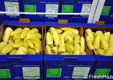 Per quanto riguarda la frutta, le prime 10 referenze sono: fragole, uva, nettarine, albicocche, pere, fichi freschi, pesche, clementine, meloni, cocomeri. Per la verdura, i 10 articoli maggiormente commercializzati da Villafrut sono: pomodori, lattuga, peperoni, cetrioli, asparagi, cipollotti, indivia, zucchine, ravanelli, cavolo rapa. Tutta la produzione proviene da agricoltura sostenibile.