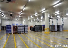 Ambiente ad atmosfera controllata per la sosta momentanea delle merci in attesa di carico. Sul soffitto sono state installate 8 potenti ventole per mantenere l'aria intorno ai 12-13 gradi centigradi.