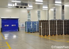 Nell'intero magazzino e' presente il sistema wireless, che consente di gestire la movimentazione di magazzino in modo computerizzato, con sistema SSCC, importante per la efficiente ed efficace gestione della tracciabilita' del prodotto.