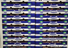 Pallet di merce a marchio Jolife. Finora Villafrut ha commercializzato frutta e verdura prevalentemente sui mercati esteri. Dal 2012, tuttavia, punta ad aprirsi un mercato anche in Italia.