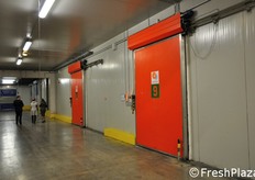 Lo stabilimento dispone di 12 celle frigorifere con differenti temperature, dedicate alla conservazione ottimale delle singole categorie di prodotto.