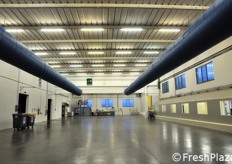 La zona dedicata al picking.