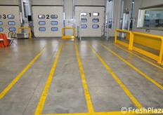 La zona di scarico e carico dispone di 12 rampe, con la possibilita' di adattamento per ricevere vari tipi di camion. Di fronte ad ogni rampa e' previsto lo spazio che permette lo scarico dell'intero camion. Solo la capienza della zona di carico e scarico corrisponde a quasi 500 pallet. Le numerose finestre permettono l'illuminazione della zona mediante luce naturale.