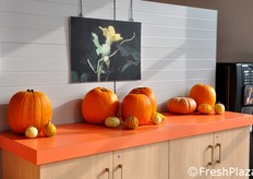 Allestimenti decorativi all'interno del punto vendita.