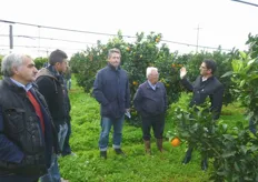 "Il Dott. Vito Vitelli del COVIL, (primo a destra nella foto) descrive le caratteristiche della varieta' dell’arancio "Fukumoto"."