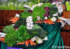 Una bella esposizione di alcune delle principali referenze orticole del Polesine. Oltre all'Insalata di Lusia IGP, il territorio vanta anche altri prodotti a denominazione: l'Aglio Bianco Polesano DOP, il Radicchio di Chioggia IGP e il Riso del Delta del Po IGP.