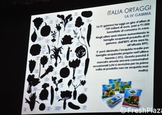 Slide di sintesi sulla IV gamma (insalate in busta).