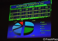In termini di superfici investite a orticole, il grafico a torta mostra quanto pesa il Veneto (in rosso nel grafico) rispetto alle altre principali regioni produttrici italiane.