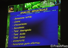 I parametri presi in esame dal Centro sperimentale per l'analisi sensoriale della lattuga di Lusia.