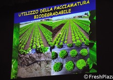 In ultimo, il dott. Tosini ha riferito anche circa all'utilizzo della pacciamatura biodegradabile, passando cosi' il testimone alla relazione successiva.