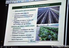 La relazione ha preso in esame gli usi e le prospettive del materiale biodegradabile in agricoltura.