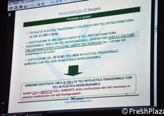 Ipotesi di lavoro. Cosa accadrebbe nel caso in cui i teli neri di plastica tradizionale fossero sostituiti per il 20% con teli neri in materiale biodegradabile?