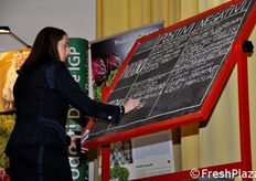 Lo schema di analisi SWOT prende forma.